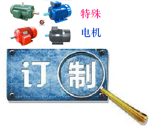 永磁電機(jī)、特殊電機(jī)定制