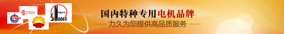 力久——特種專(zhuān)用電機(jī)品牌！