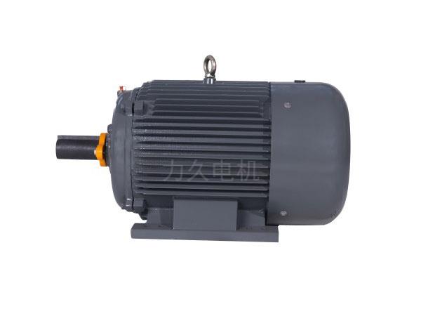 NEMA  PREMIUM超高效三相異步電動機(A、B設(shè)計)